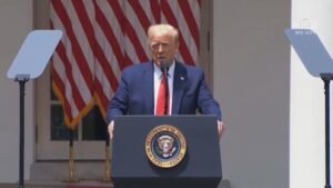 WhatsApp Image 2021-01-04 at 3.41.20 PM