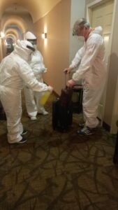 WhatsApp Image 2021-01-10 at 5.43.47 PM