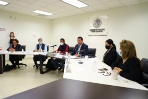 Puntos Constitucionales