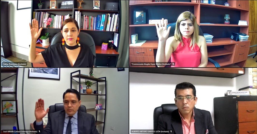 20210316_IVAI_Sesión Pública_1