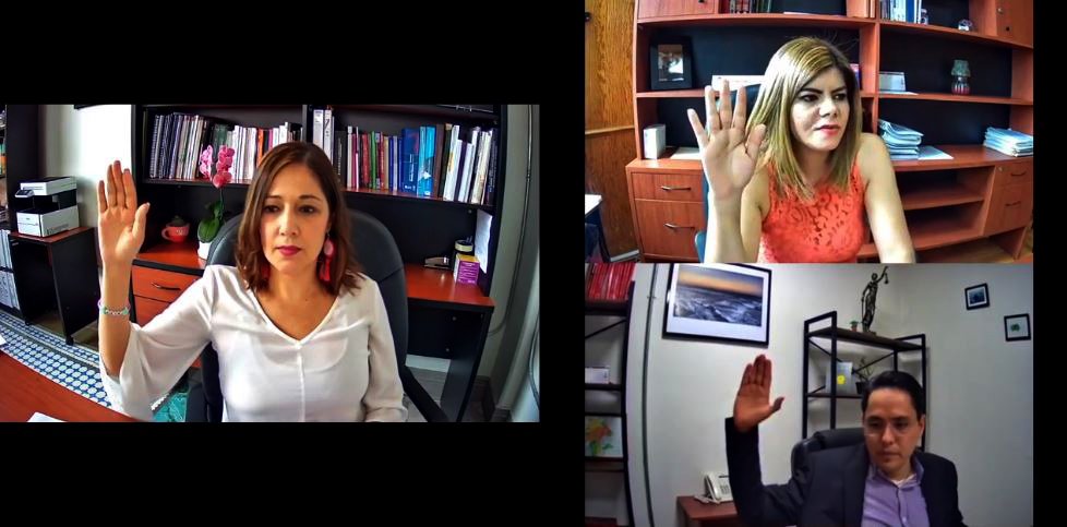 20210326_IVAI_Sesión Pública_1