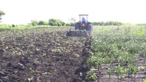 WhatsApp Image 2021-03-05 at 5.46.31 PM