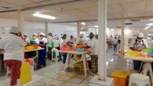 WhatsApp Image 2021-03-10 at 3.17.29 PM