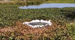 WhatsApp Image 2021-03-10 at 6.00.32 PM