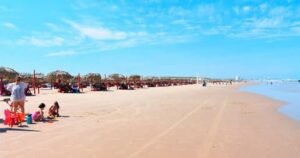 WhatsApp Image 2021-03-12 at 12.30.28 PM