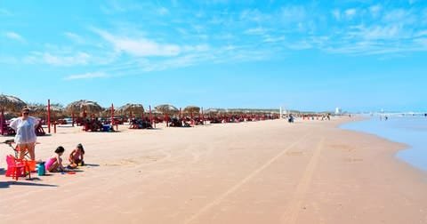 WhatsApp Image 2021-03-12 at 12.30.28 PM