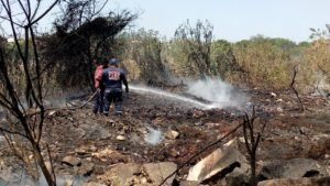 WhatsApp Image 2021-03-19 at 6.04.00 PM