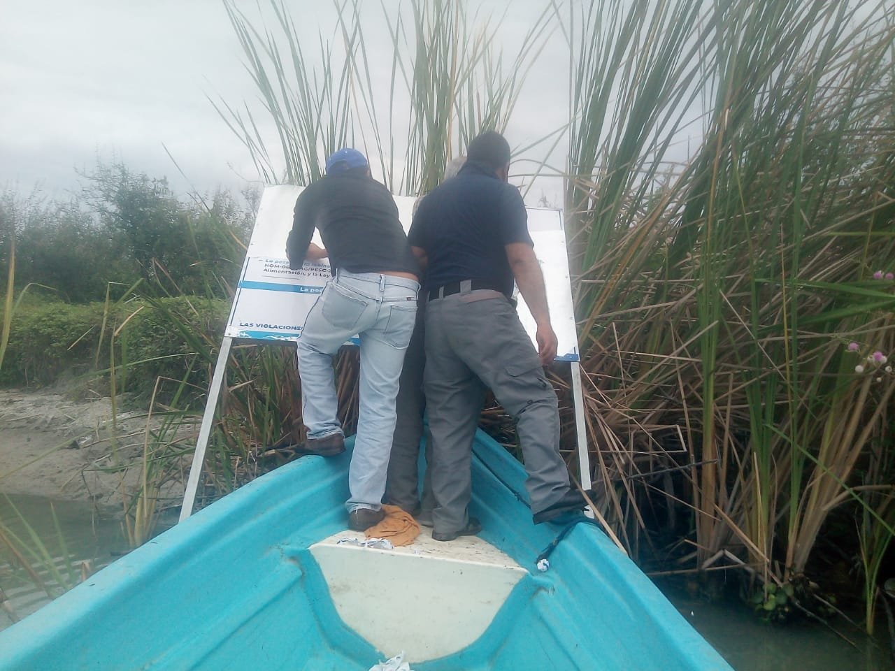 WhatsApp Image 2021-03-23 at 10.55.57 AM