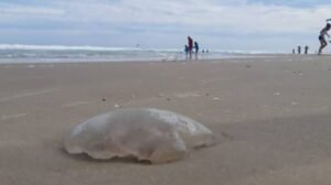 WhatsApp Image 2021-03-25 at 5.43.32 PM