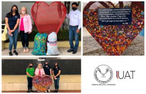 foto 1 taparroscas 21 03 2021