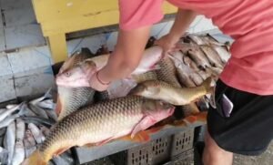 pescadores-en-altamira-pablo-reyes_68_0_944_587