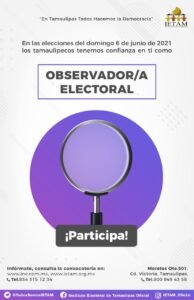 Observador electoral