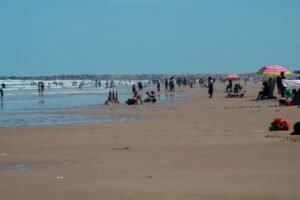 WhatsApp Image 2021-04-03 at 2.16.41 PM