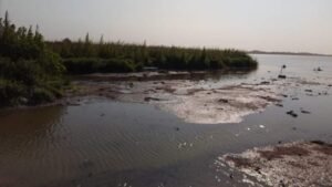 WhatsApp Image 2021-04-06 at 2.39.47 PM