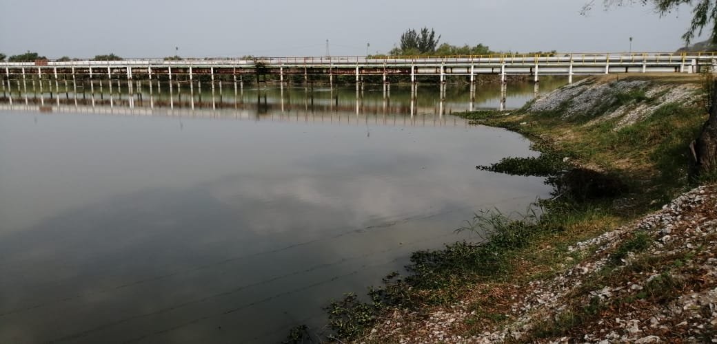 WhatsApp Image 2021-04-08 at 11.56.43 AM