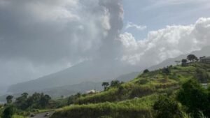 WhatsApp Image 2021-04-09 at 3.08.05 PM