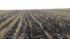 WhatsApp Image 2021-04-16 at 12.28.00 PM