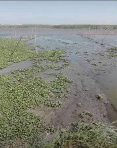 WhatsApp Image 2021-04-21 at 3.09.33 PM