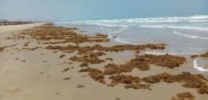 WhatsApp Image 2021-04-21 at 7.48.34 PM