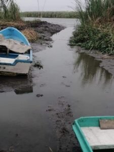 WhatsApp Image 2021-04-26 at 1.16.56 PM