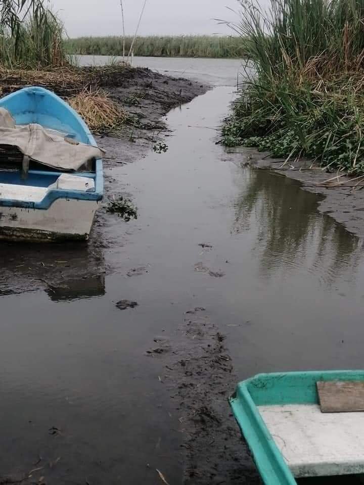 WhatsApp Image 2021-04-26 at 1.16.56 PM