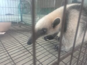 WhatsApp Image 2021-04-26 at 4.18.05 PM