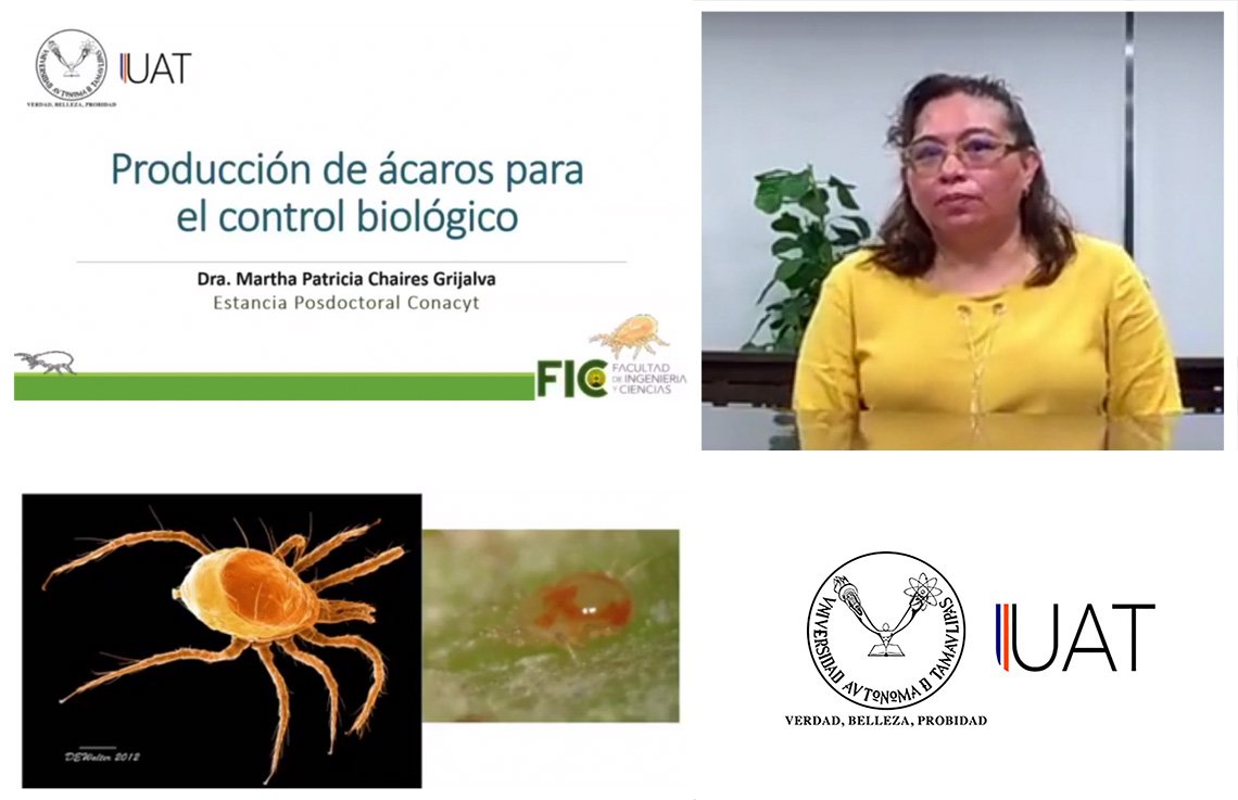 foto 1 acaros 10 04 2021