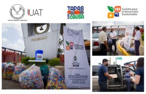 Collage taparoscas 07 05 2021