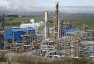 WhatsApp Image 2021-05-12 at 2.00.51 PM