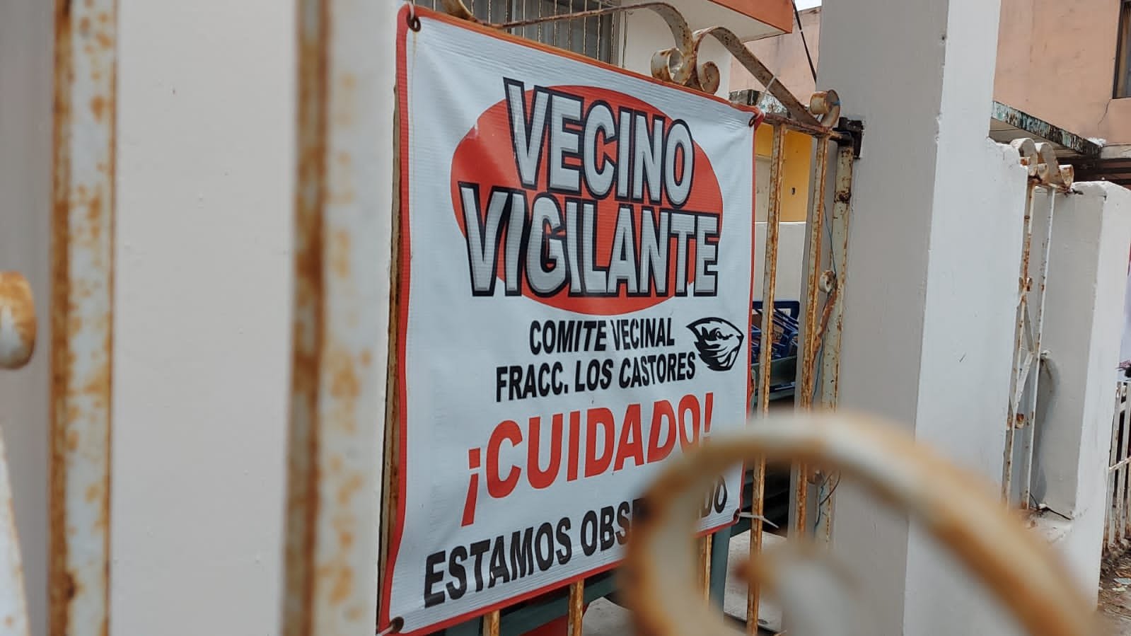 WhatsApp Image 2021-05-13 at 5.17.39 PM