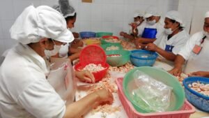 WhatsApp Image 2021-05-19 at 12.01.28 PM