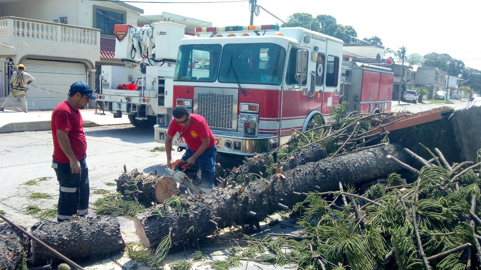 WhatsApp Image 2021-05-20 at 5.06.35 PM