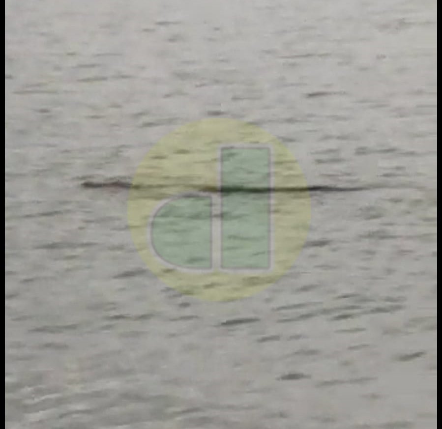 WhatsApp Image 2021-05-31 at 2.52.36 PM