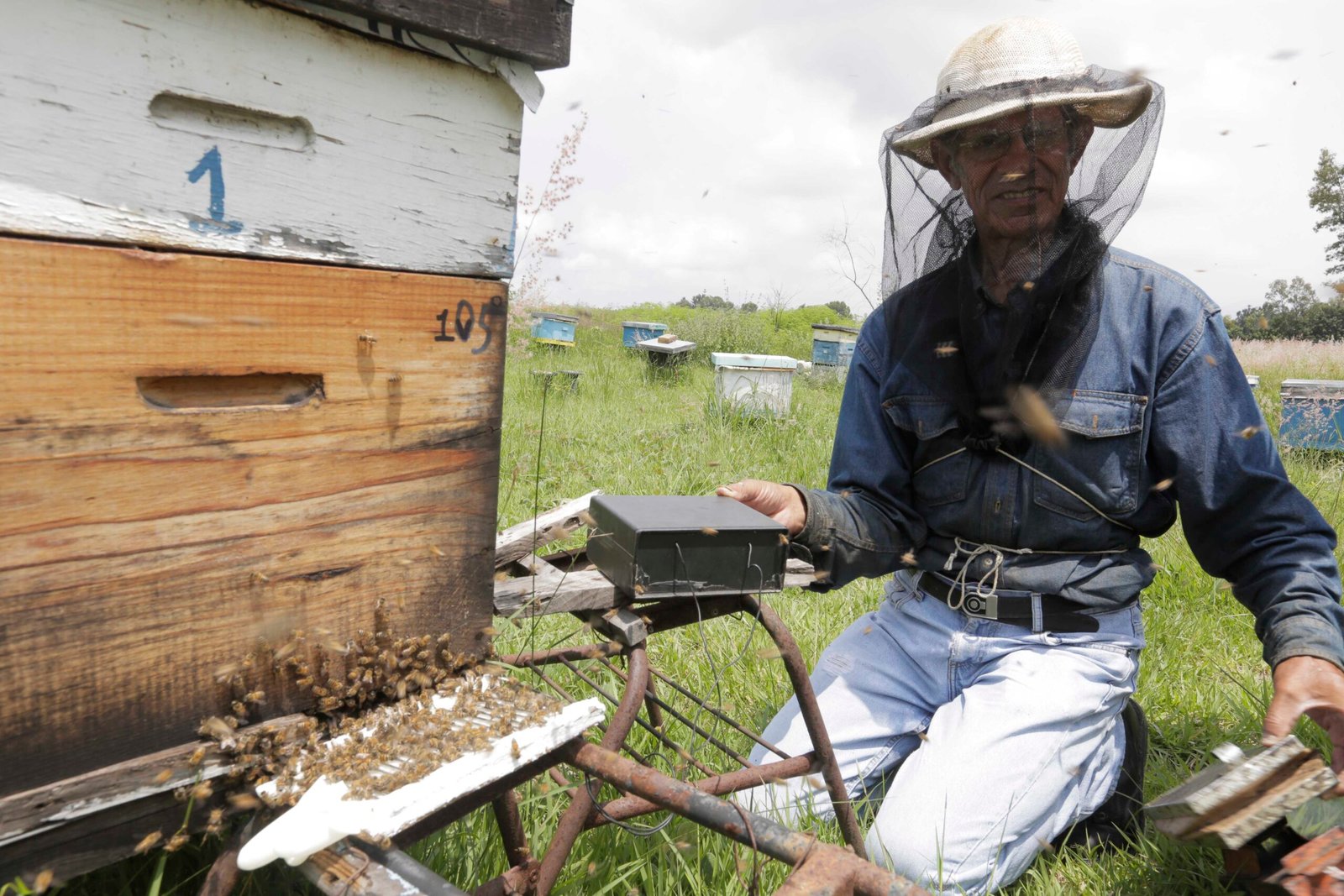 a8b3971_veneno_de_abejas_dm_10