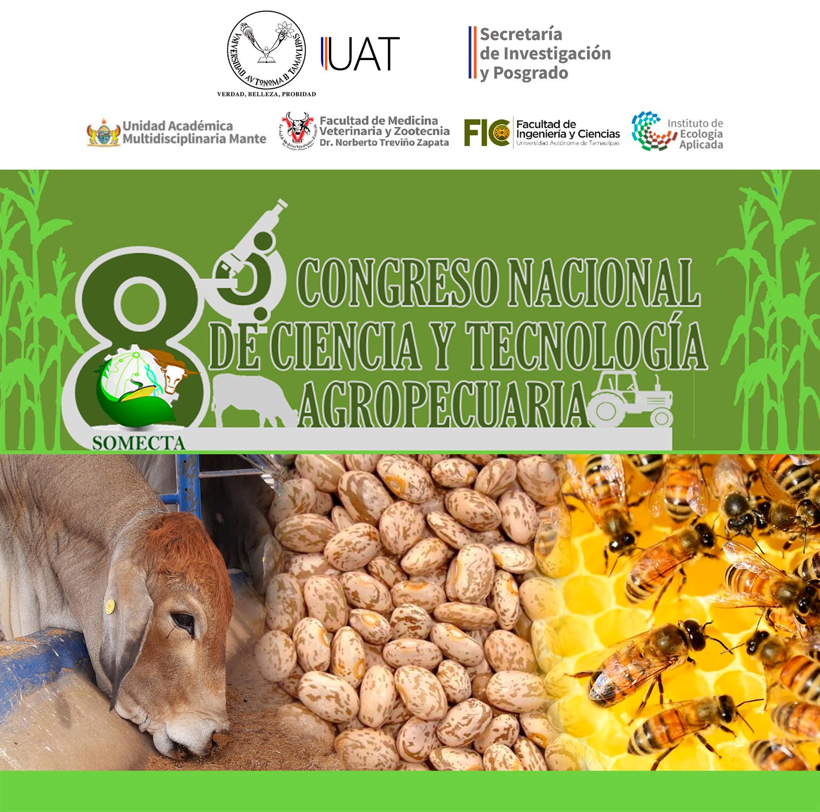 Presentación de PowerPoint