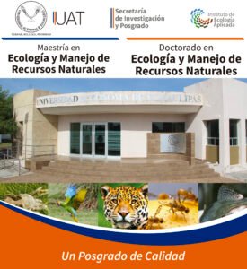 IEA Maestría 2021 OK