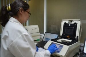 197083248_1452309735129557_4527552626375407741_n