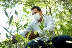 SDU-009-2021.-Gobierno de Tamaulipas reforestará zona costera con mangle negro. (2)