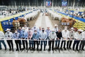 TAM-083-2021.-Tamaulipas entre las 5 estados del país con mayor exportación de ganado (6)