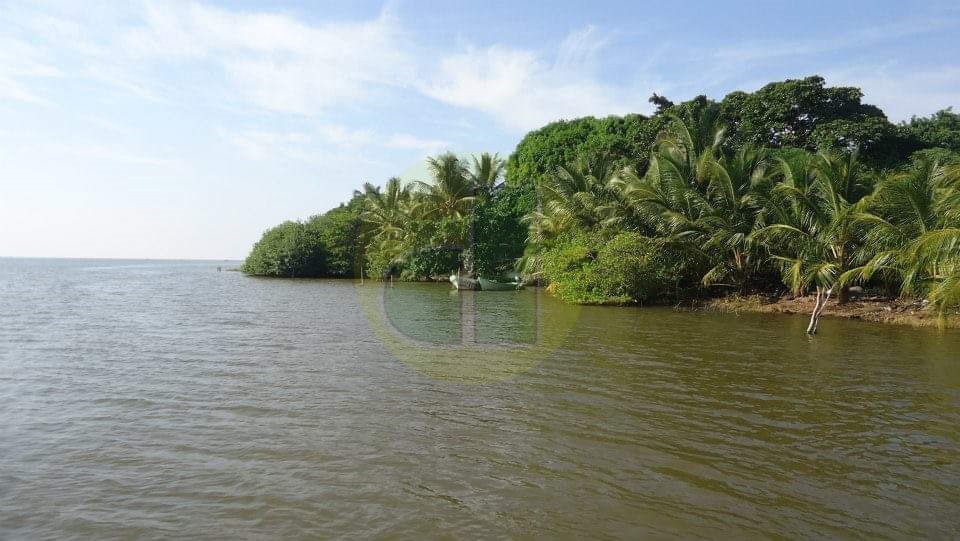 WhatsApp Image 2021-06-04 at 3.21.54 PM