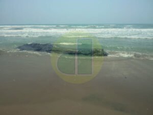 WhatsApp Image 2021-06-08 at 2.47.55 PM