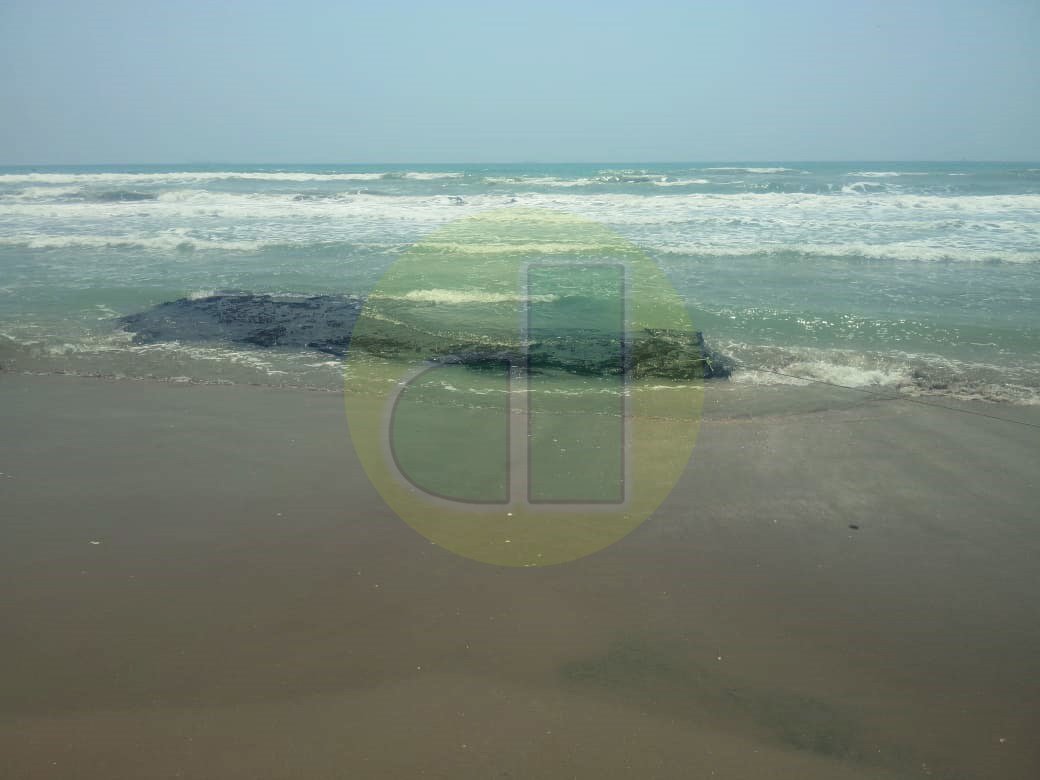 WhatsApp Image 2021-06-08 at 2.47.55 PM