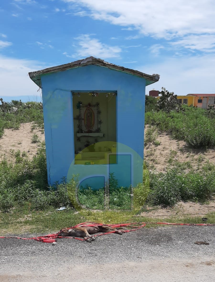 WhatsApp Image 2021-06-11 at 4.55.57 PM