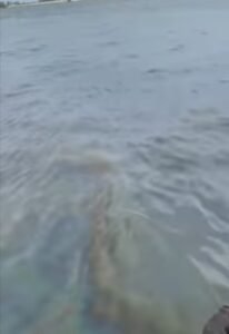 WhatsApp Image 2021-06-14 at 5.21.23 PM