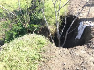 WhatsApp Image 2021-06-15 at 1.38.39 PM