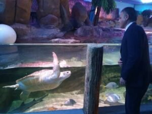 WhatsApp Image 2021-06-17 at 1.12.11 PM