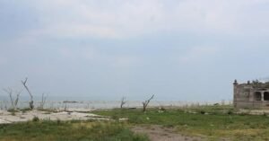 WhatsApp Image 2021-06-21 at 3.02.14 PM