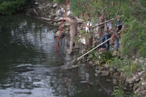 WhatsApp Image 2021-06-21 at 8.44.59 PM