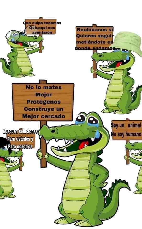 WhatsApp Image 2021-06-22 at 5.37.46 PM