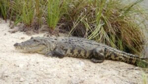 WhatsApp Image 2021-06-23 at 1.55.26 PM